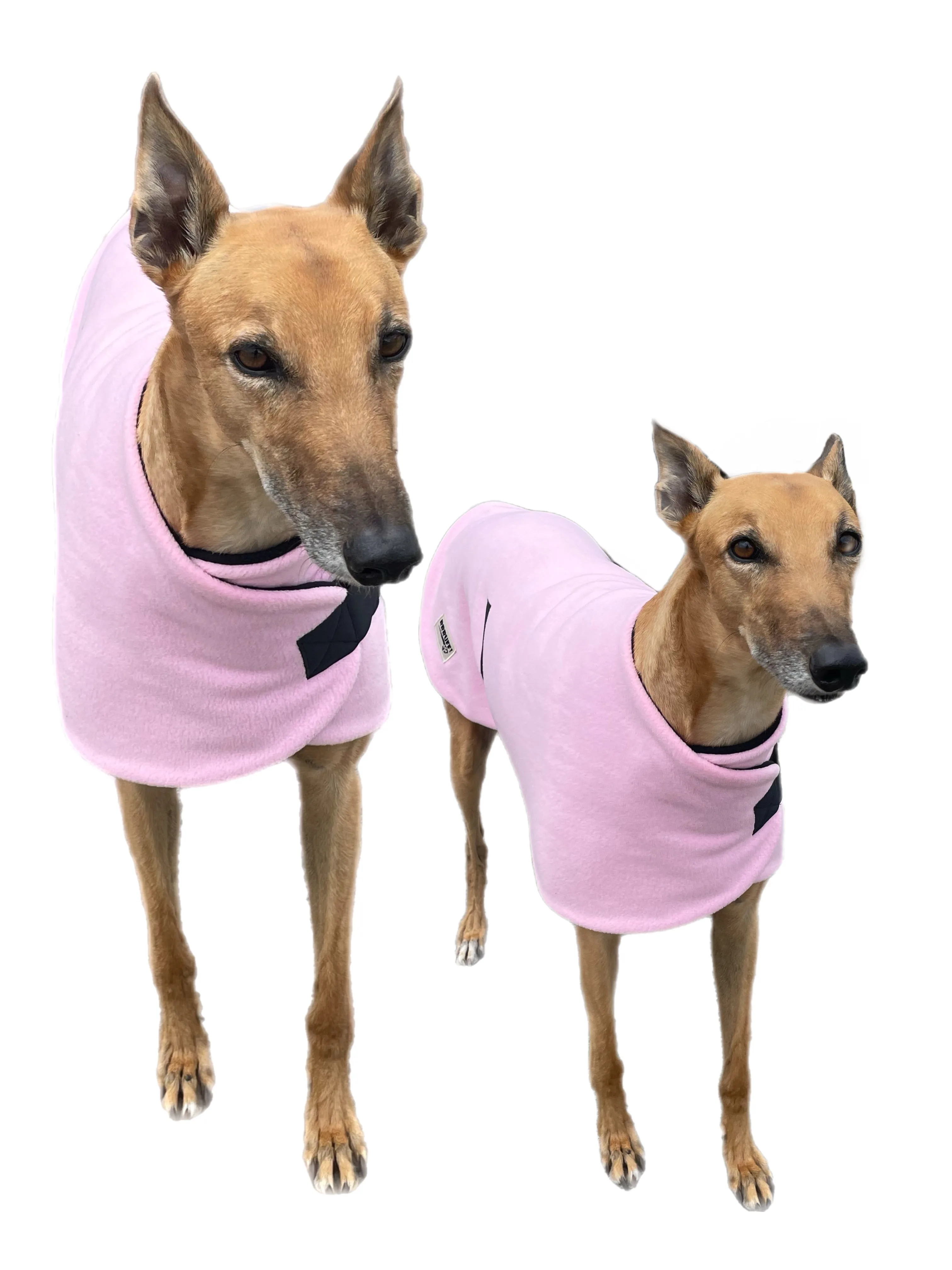 Blush classic style Greyhound coat in thick double fleece washable